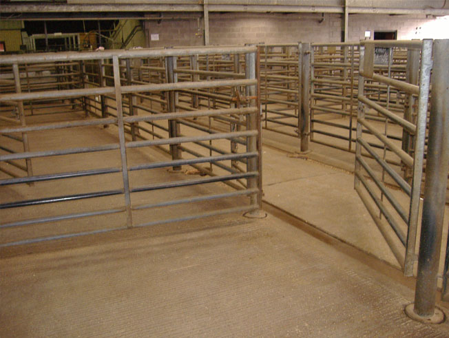 livestock handling fabrications